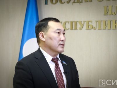 Регионы смогут получить дополнительные полномочия в части обращения с безнадзорными животными