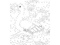 Книга "Животные. Рисуем по точкам"