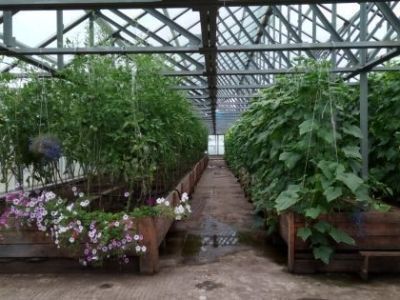 Ассоциация строителей АЯМ: 8 лет подъема сельского хозяйства в Алданском районе