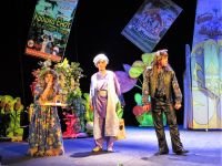 Драматический театр города Тынды