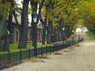 Усадебный парк