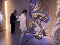 Музей «Арт и факты»