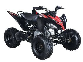 Квадроцикл ABM Scorpion 125M