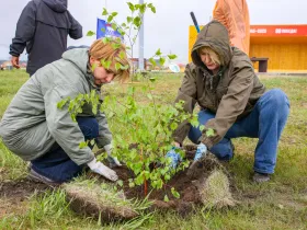 Саженцы ели и берёзы посадили в Парке Победы Якутска