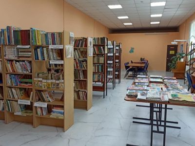 Поселенческая библиотека п. Новонежино