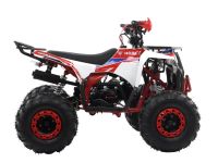 Квадроцикл MOTAX Grizlik A125