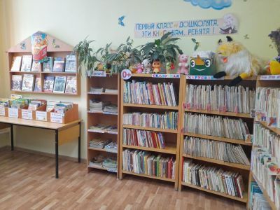 Руэмская сельская библиотека