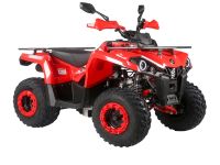 Квадроцикл MIKILON Hammer 200L Pro-R