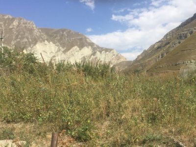 Водяная мельница