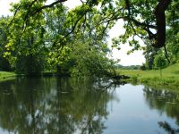 Государственный историко-культурный и природный музей-заповедник А. С. Грибоедова «Хмелита»