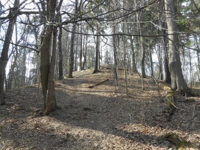 "Старый Парнас"