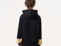 Мужская толстовка Lacoste Colorblock