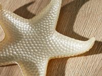 Блюдо Alta marea IV