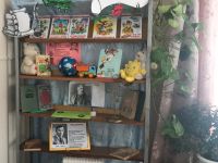 Кокманская библиотека