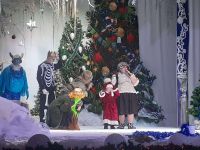 бюджетное учреждение культуры г. Омска «ЦКСР «Береговой»