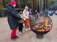 Лесопарк «Талицкий лес»