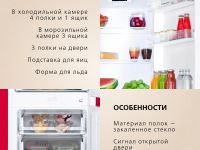 Встраиваемый холодильник Hansa BK306.0N