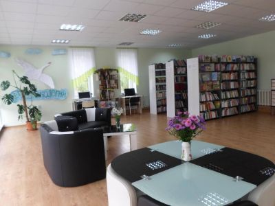 Илюшинская сельская модельная библиотека