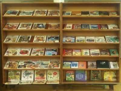 Леснополянская сельская библиотека «Вернисаж»