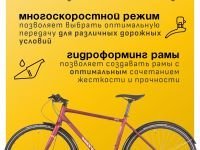 Дорожный велосипед Atom Symbiotic Speed, год 2024, цвет Красный, ростовка 18.5