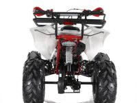 Квадроцикл MOTAX ATV Raptor Super LUX 125 cc