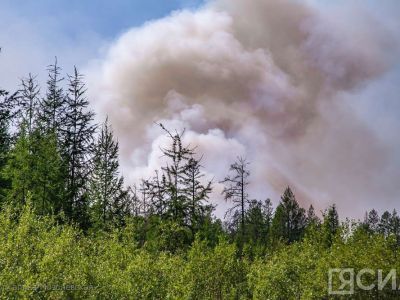 Для борьбы с природными пожарами в Якутии увеличат штат службы спасения