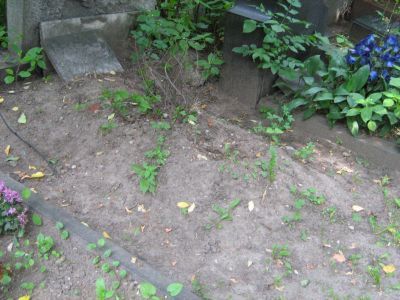 Могила Голенкина Михаила Ильича (1864-1941)