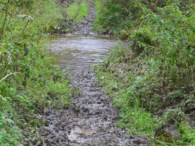 Переправа кавалерии Уварова и Платова