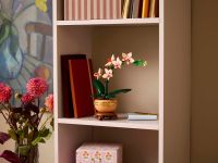 Коллекционные наборы 10343 Конструктор Мини-орхидея