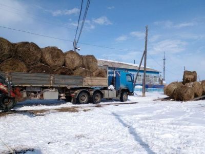 Первая партия забайкальского сена прибыла в Олекминский район Якутии 