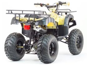 Квадроцикл MOTOLAND 250 Adventure (2021 Г.)