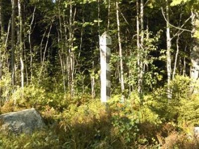 Верстовой столб в районе озера Большое Карзино