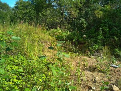 Руины восточной хозяйственной постройки