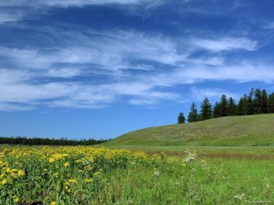 Петр Гоголев: Пусть День сайылыка зарядит новыми силами и энергией