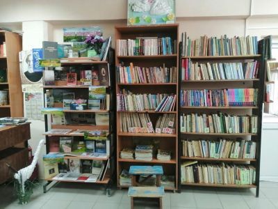 Библиотека п. Бузан