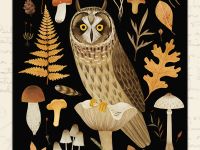 Открытка Дворникова А. "Сова" (темная)