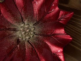 Блюдо декоративное Пуансеттия/Poinsettia