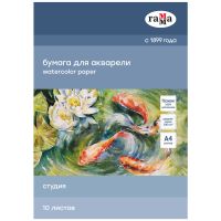 Папка для акварели Гамма "Студия" А4 10 л 200 г, среднее зерно