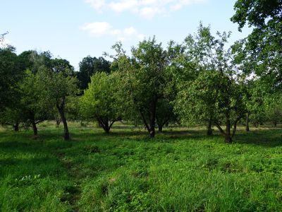 Красный сад