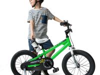 Детский велосипед Royal Baby Freestyle Steel 14, год 2022, цвет Зеленый