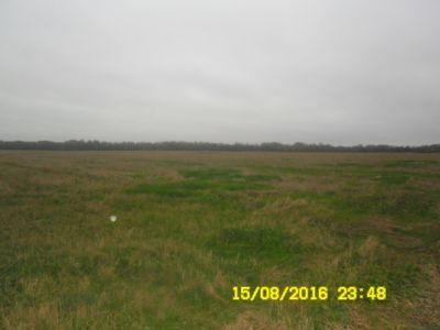 Родина Героя Советского Союза А.М. Борисова, умершего от ран в августе 1941 г.