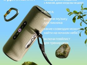 Портативная акустическая система Яндекс