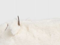 Мягкие тапочки с оленями, Белый