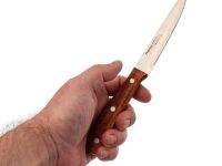 Набор из 5 кухонных ножей Fissman Maximus в деревянной подставке
