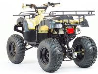 Квадроцикл MOTOLAND 250 Adventure (2021 Г.)