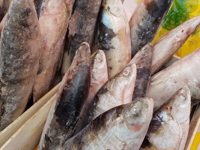 Россельхознадзор: Прекращены действия двух деклараций о соответствии на рыбную продукцию