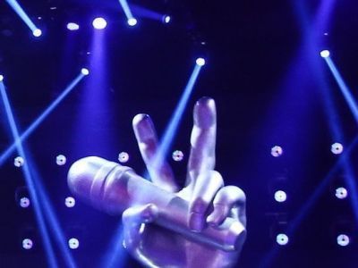 Group-IB подтвердила накрутку голосов за дочь Алсу в финале шоу «Голос. Дети»