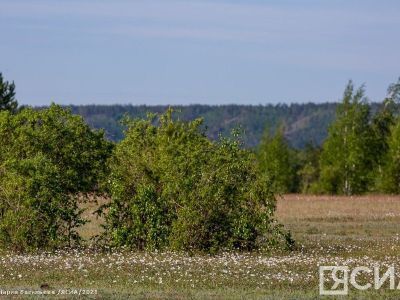 Госдума России в первом чтении приняла изменения в закон об экологической экспертизе