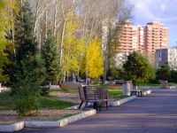 Озеро-парк «Октябрьский» г. Красноярска