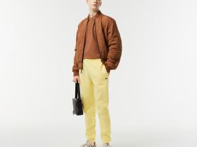 Мужское поло Lacoste PARIS стандартного кроя